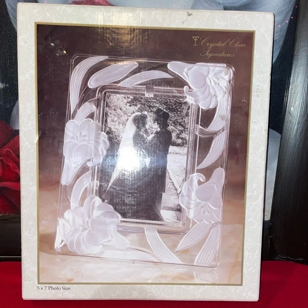 NWT ABSOLUTELY GORGEOUS FROSTED CRYSTAL CLEAR SIGNATURES RECTANGLE PICTURE FRAME